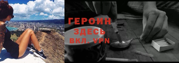 твердый Магас